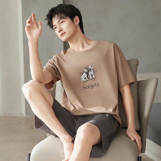 夏季纯棉男士睡衣短袖短裤爽棉宽松休闲可外穿薄款家居服套装新款   JL-5501 商品图2