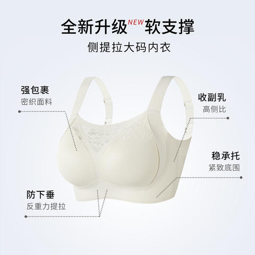2026年新款蕾丝抹胸侧提拉性感大码内衣-W2523#【组合需要自选颜色可联系客服备注】 商品图1