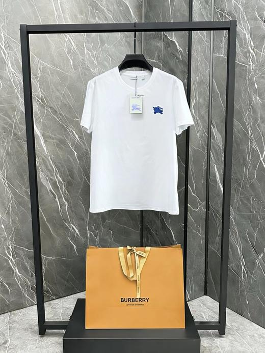 F033148春夏季新款男女同款吸汗透气立体刺绣战马徽标设计两色T恤 商品图1