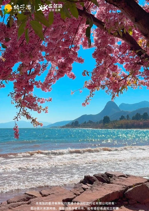 【邂逅紫色浪漫】昆明蓝花楹+抚仙湖+建水古城双飞 6 天游 商品图2