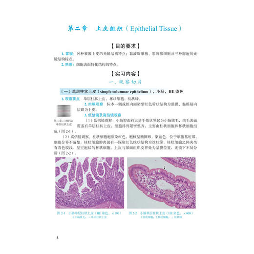 组织学与胚胎学实验教程 第2二版 余鸿 王巧稚 主编 高等院校医学实验教学系列教材 基础医学类 本科教材 9787030847362科学出版社 商品图4
