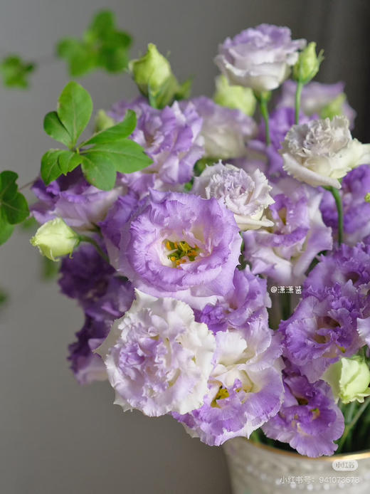 【2026.4.3】特价：1扎0.4 kg波浪洋桔梗19.9（现货 下单即可到店自提） 商品图5