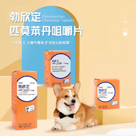 勃欣定匹莫苯丹心脏心衰肥大增强心肌强心药德国进口