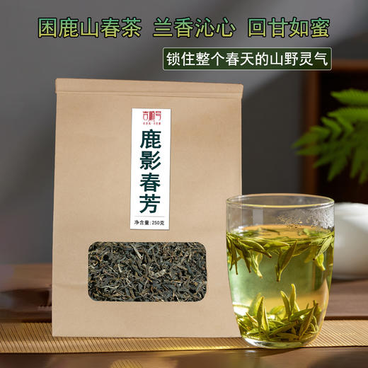 【新茶尝鲜】今日下单送2包试喝装 2026年新茶困鹿山春茶鹿影春芳250克/袋 商品图0