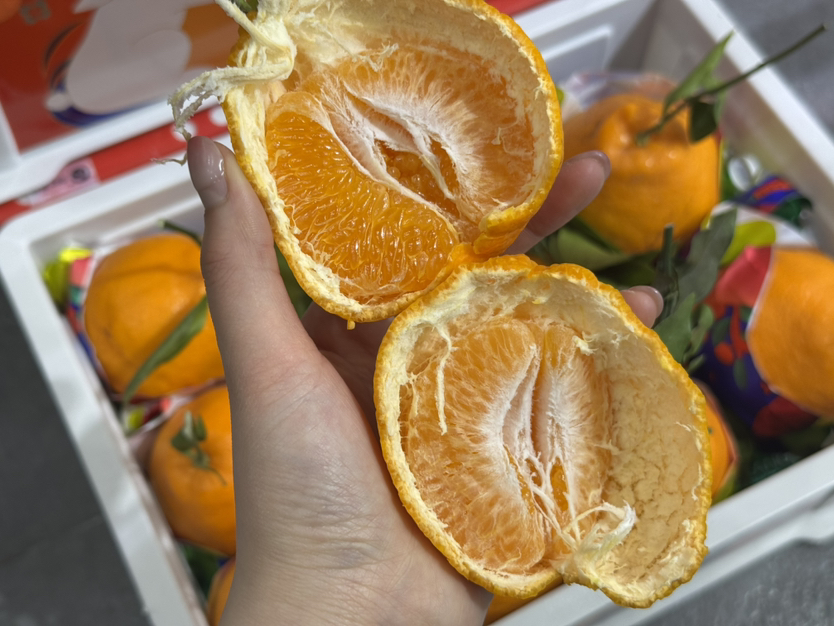 春见耙耙柑筐装（毛重8斤左右）