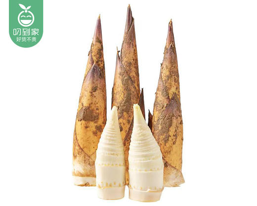 【当季鲜蔬】三明新鲜去头甜笋（1.5kg±100g/份） 商品图1