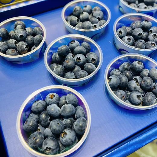 7.2度蓝蓝莓18+（8盒装） 商品图1