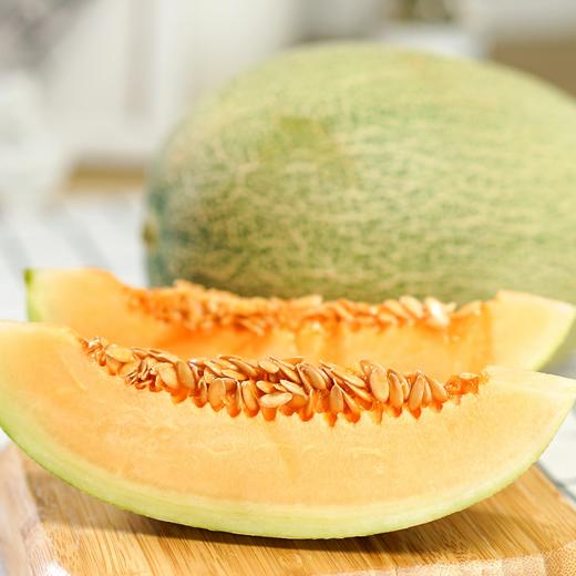 【海南.西州蜜哈密瓜】来自海南的哈密瓜，瓜皮翠绿有纹路，果香怡人，鲜嫩多汁，脆甜如蜜，营养丰富~ 商品图2