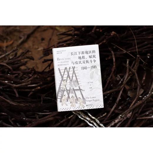 长江下游地区的地租、赋税与农民反抗斗争（1840—1949）[美]白凯/著 农村；经济史 商品图4