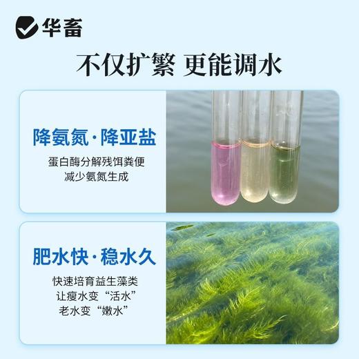 华畜芽孢杆菌发酵伴侣水产调水肥水不发臭调水肥水产养殖益生菌 商品图3