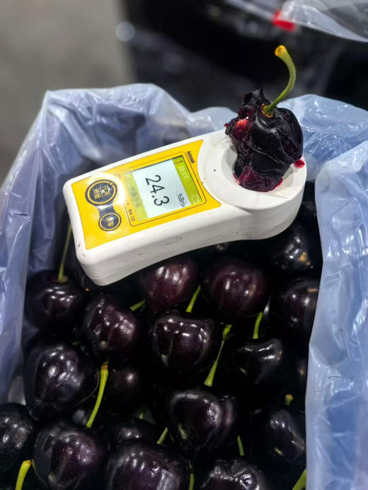 俄8黑珍珠樱桃🍒纯甜又浓郁 商品图4