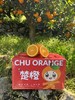 【伦晚橙】花果同枝，自带橙花香气，自然成熟，新鲜采摘，一口咬下去，汁水四溢，化渣无籽，清甜回甘！ 商品缩略图4