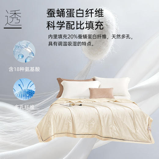 蚕蛹蛋白天丝夏被(金色) 商品图3