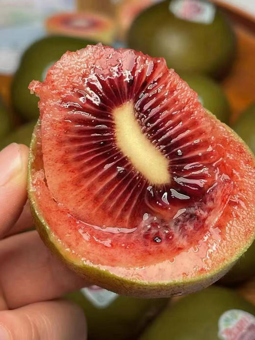 佳沛宝石红奇异果全新上市啦！
富含花青素小红果，当季限量！口感水润多汁，富有天然莓果香气·果肉细腻，层次丰富！果肉颜色由果芯至果皮均呈现鲜红色，极富食欲 商品图2