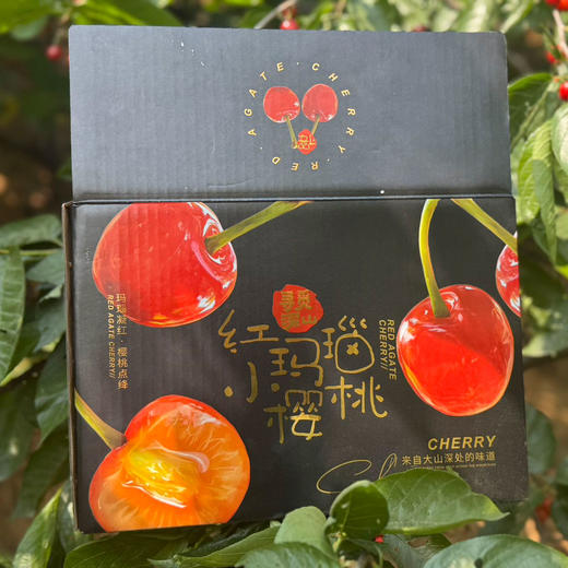 攀枝花玛瑙红森林小樱桃 250g/盒（60颗左右） 商品图4