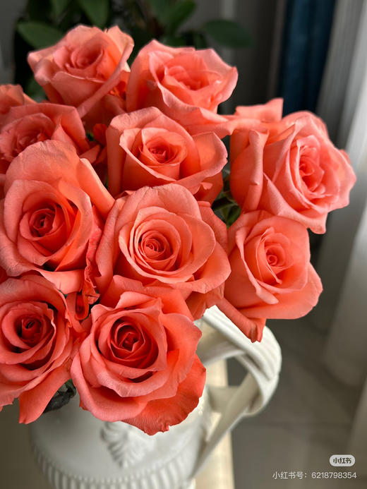 【2026.4.3】特价：1扎10枝基地玫瑰15.9（现货 下单即可到店自提） 商品图6