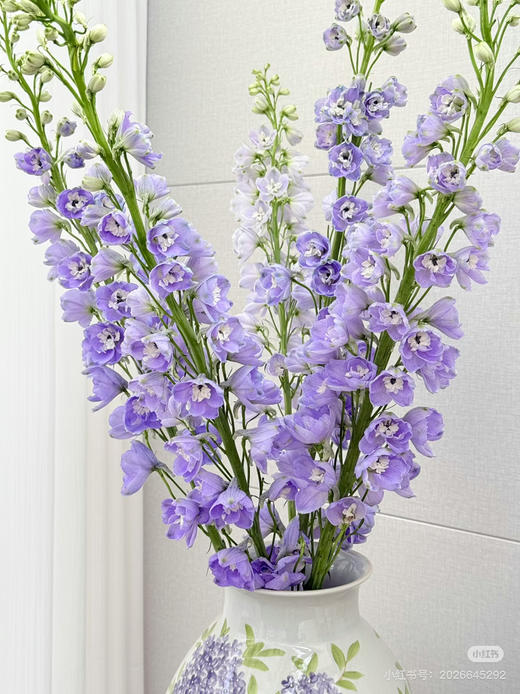 现货浅紫色大飞燕 支长65厘米 一扎5支 商品图1