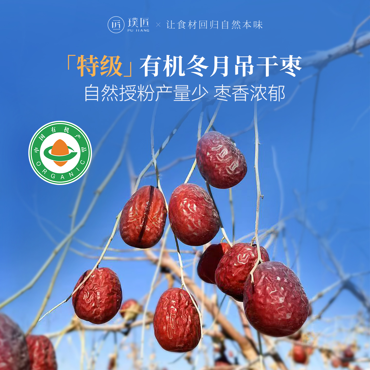 有机冬月吊干枣红枣特级新疆特产新枣子枸杞泡茶煲汤和田大枣干货