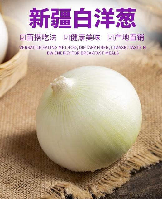 新疆三色洋葱5斤装(白洋葱+紫洋葱+黄洋葱) 商品图5