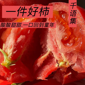 【新疆直邮·普罗旺斯沙瓤西红柿】 一口回到20年前的味道   4.5斤装