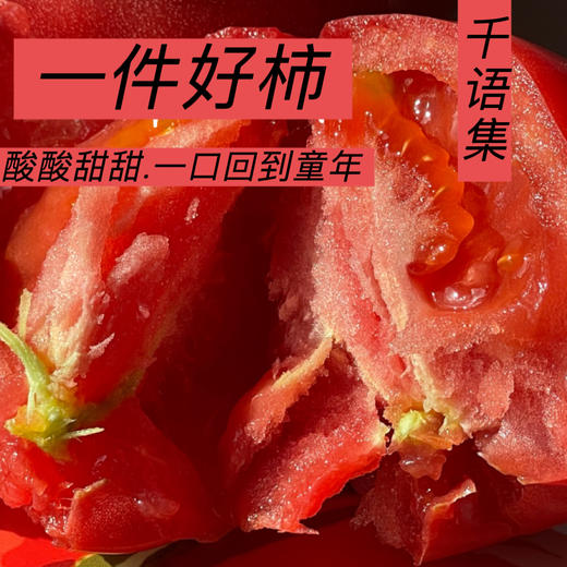 【新疆直邮·普罗旺斯沙瓤西红柿】 一口回到20年前的味道   4.5斤装 商品图0