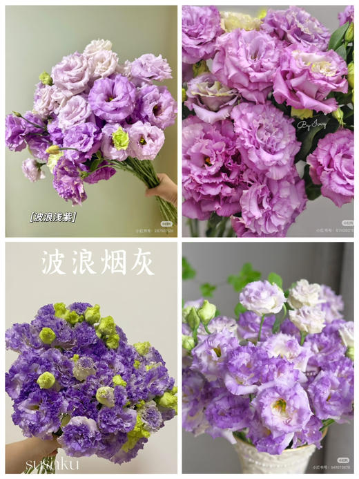 【2026.4.3】特价：1扎0.4 kg波浪洋桔梗19.9（现货 下单即可到店自提） 商品图0