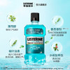 李施德林 Listerine 漱口水冰蓝劲爽清新口气深层清洁 (500mL*3+100mL*2） /个人护理 /口腔护理 /漱口水 商品缩略图2