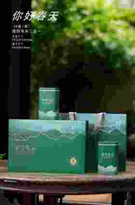 20元/套【你好春天半斤毛尖.绿】一箱20套/一箱400元/整箱包邮