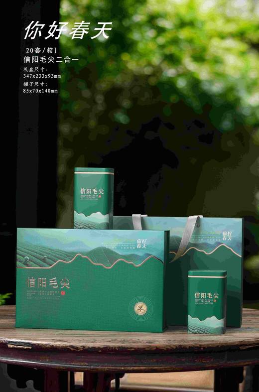 20元/套【你好春天半斤毛尖.绿】一箱20套/一箱400元/整箱包邮 商品图0