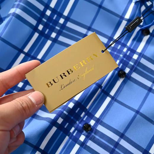 F033107春季新款柔软舒适吸汗桑蚕丝商务休闲格子长袖衬衫衬衣 商品图14