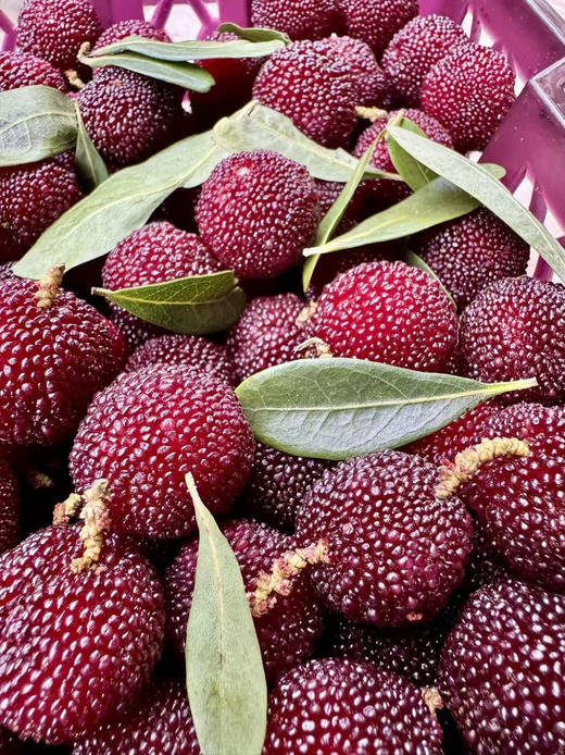 预售，周日配送，云南杨梅没有🐛，第一口鲜！有机春梅*每日空运新鲜少量＃鲜是鲜的嘞～早梅不大的哦！拒绝甜蜜素，九分甜来一分酸，一年一次尝鲜啦！ 商品图5