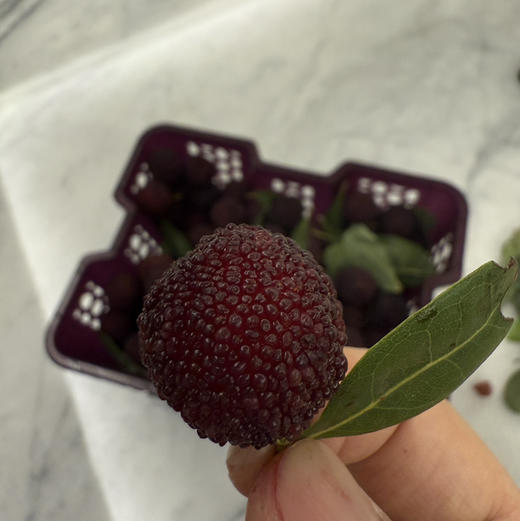 预售，周日配送，云南杨梅没有🐛，第一口鲜！有机春梅*每日空运新鲜少量＃鲜是鲜的嘞～早梅不大的哦！拒绝甜蜜素，九分甜来一分酸，一年一次尝鲜啦！ 商品图3