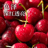 顺丰特快 大连美早樱桃 当季水果 新鲜直发 商品缩略图3