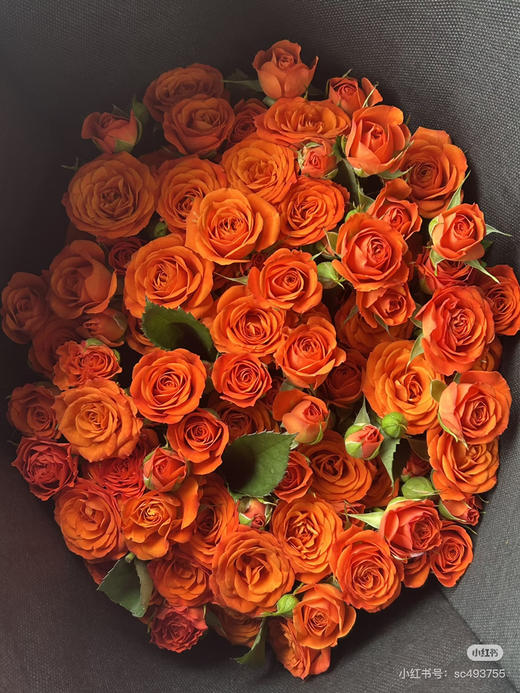 【2026.4.3】特价：5枝A级多头玫瑰19.9～29.9（现货 下单即可到店自提） 商品图2