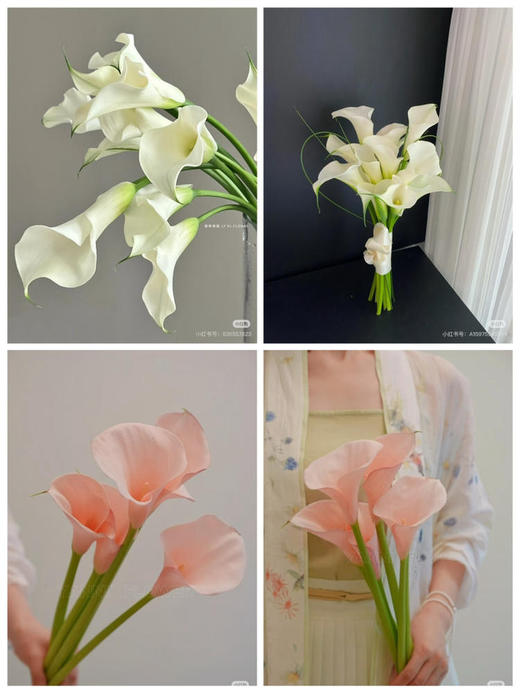 【2026.4.3】特价：5枝A级马蹄莲9.9～19.9（现货 下单即可到店自提） 商品图0