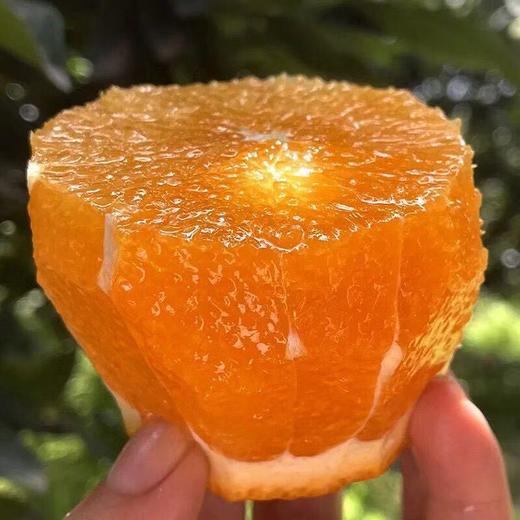 【伦晚橙】花果同枝，自带橙花香气，自然成熟，新鲜采摘，一口咬下去，汁水四溢，化渣无籽，清甜回甘！ 商品图8