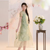 【柳色含烟】三彩2026夏季新款假两件连衣裙新中式A字裙C 商品缩略图2