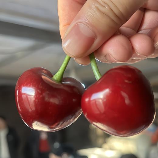 早春大樱桃 商品图7