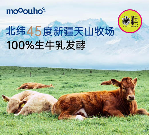 新疆天山希腊厚酸奶（原味）低温冷萃干噎酸奶奶酪🤩3罐 商品图6