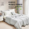 蚕蛹蛋白天丝夏被(灰色) 商品缩略图4