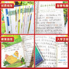 （获奖名家）中国儿童文学 名家精品集（全8册）著名文学作家金波 张秋生 王一梅获奖儿童文学彩图注音 商品缩略图4