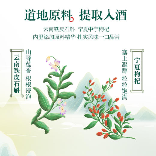 【新品】500ml40 度劲牌铁皮石斛枸杞酒 商品图2