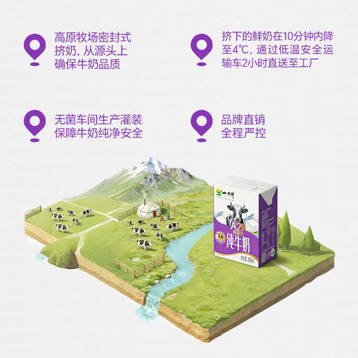【新品上市】小西牛高原牧场A2β- 酪蛋白纯牛奶3.6g蛋白纯牛奶 200ml*10盒 商品图4