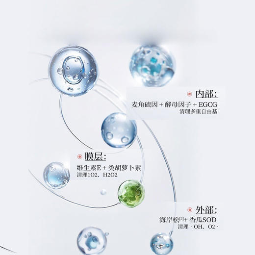 Bio-E澳洲小白伞 白瓷娃娃饮10袋/盒F 商品图4