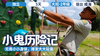 2026夏令营 | 「小鬼历险记之夺宝熊兵」 商品缩略图0
