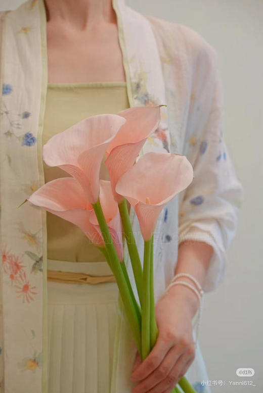 【2026.4.3】特价：5枝A级马蹄莲9.9～19.9（现货 下单即可到店自提） 商品图5