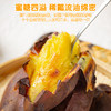 DQ可烤de榴莲蜜薯4.5斤礼盒【分仓直发，节前2/12停发，节后2/25日陆续发货】 商品缩略图3