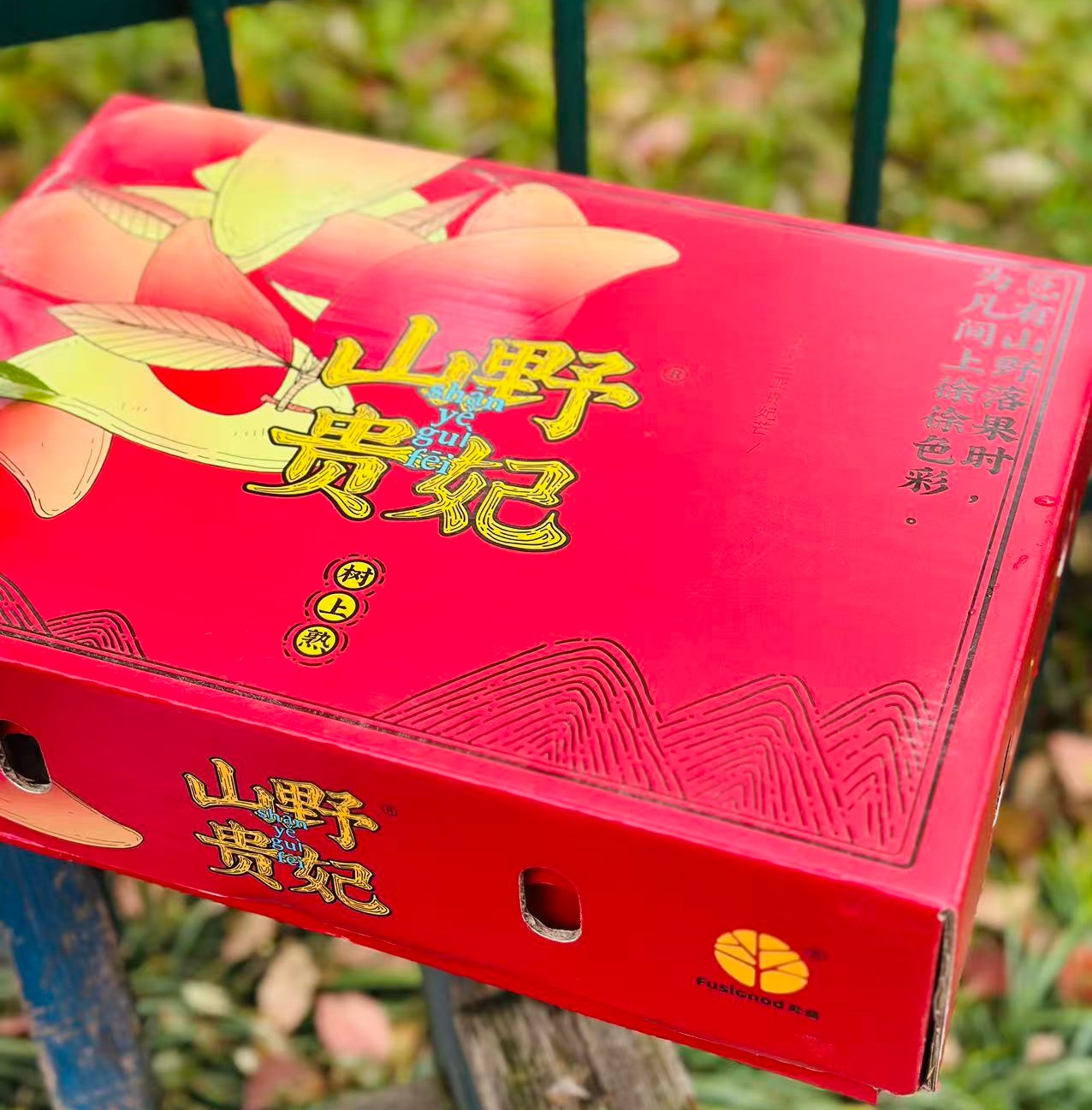 海南“山野贵妃”🥭空运到货，这款贵妃芒特别好吃, 撕开薄如蝉翼的果皮直接飙汁🥭 果核进化成细线 满口都是肉, 后调萦绕山泉蜜+淡淡奶霜香;不食贵妃芒，怎知“贵妃”美~