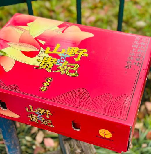 海南“山野贵妃”🥭空运到货，这款贵妃芒特别好吃, 撕开薄如蝉翼的果皮直接飙汁🥭 果核进化成细线 满口都是肉, 后调萦绕山泉蜜+淡淡奶霜香;不食贵妃芒，怎知“贵妃”美~ 商品图0