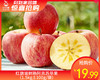 红旗坡树熟阿克苏苹果（1.5kg±100g/袋 ） 商品缩略图0